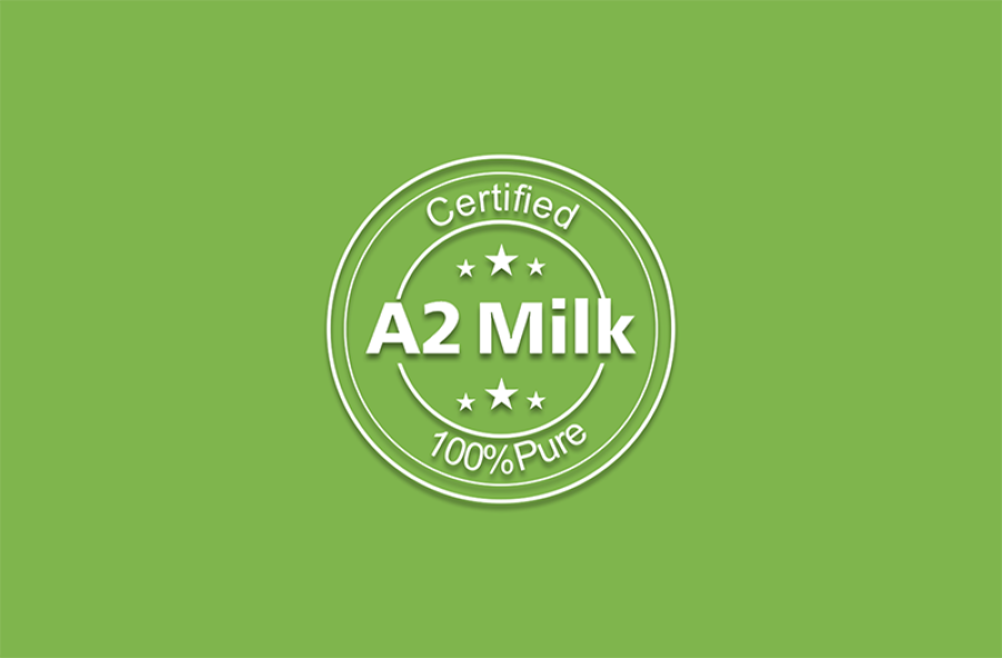 MyGir Buffalo Milk